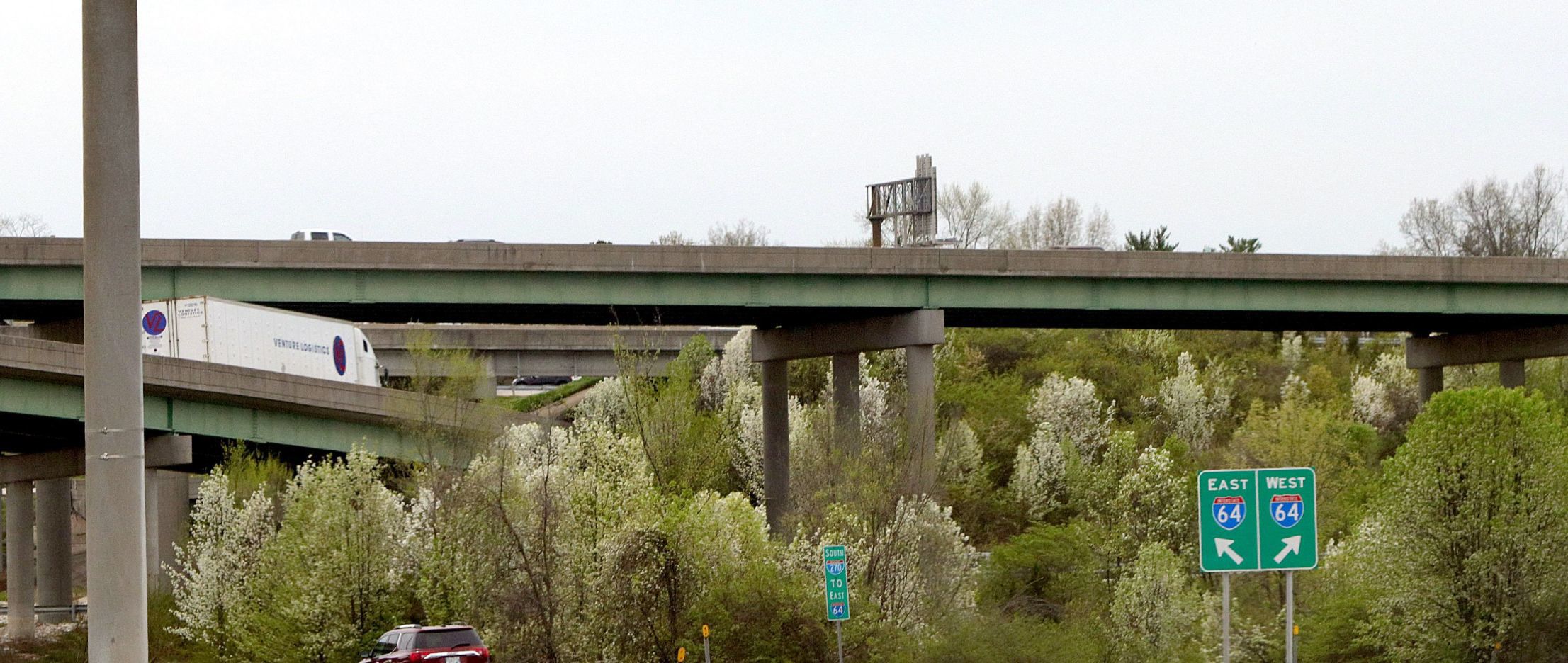 Pear trees grow at the intersection of interstates 270 and 64/40